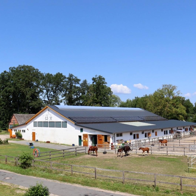 Reitanlage in Niedersachsen zu verkaufen auf ca. 3 Hektar Grundstücksfläche – bereits umfangreich saniert!
