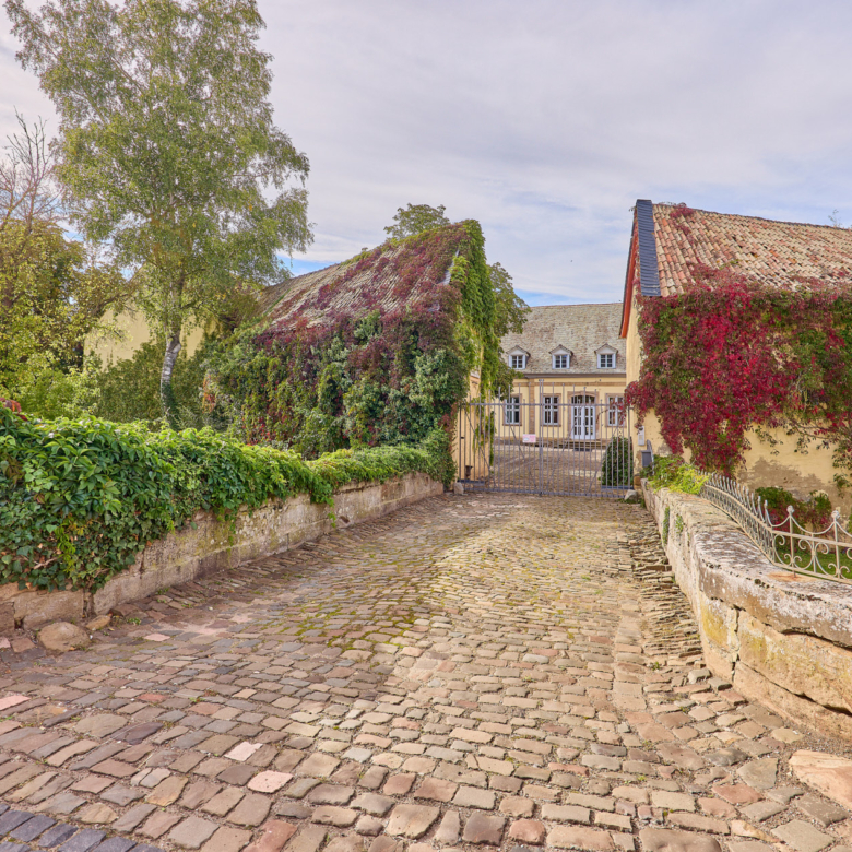 Schloss zu verkaufen in Rheinhessen mit eigener Reitanlage und Event-Location!
