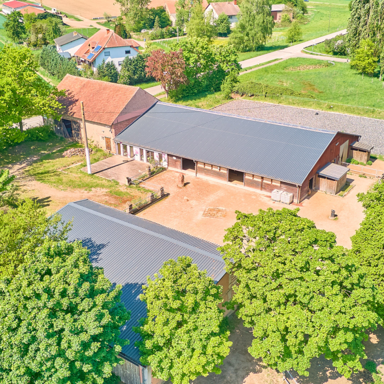 Reitanlage zu verkaufen in Hütschenhausen in Rheinland-Pfalz – stilvolles & energieeffizientes Wohnen inklusive!