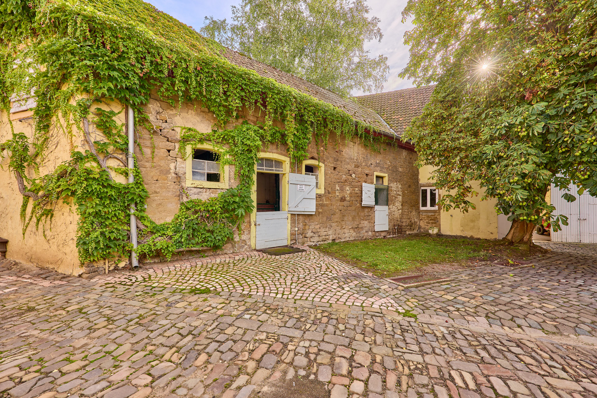 Schloss zu verkaufen in Rheinhessen mit eigener Reitanlage und Event-Location!