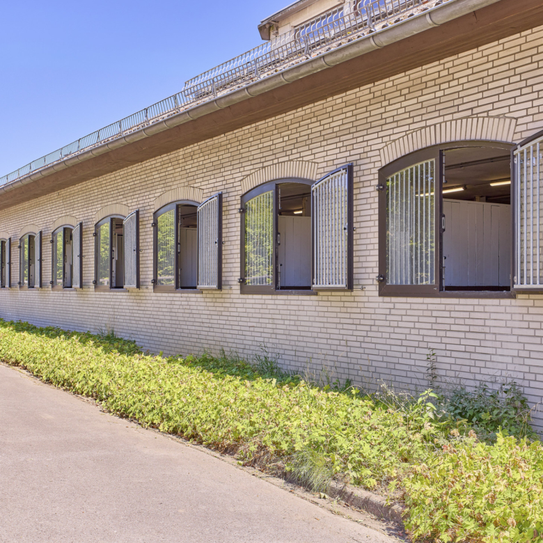 Reitanlage in NRW Nähe Münster zu verkaufen – Modernes Landhaus, Reithalle, Springplatz und Boxen für 33 Pferde!