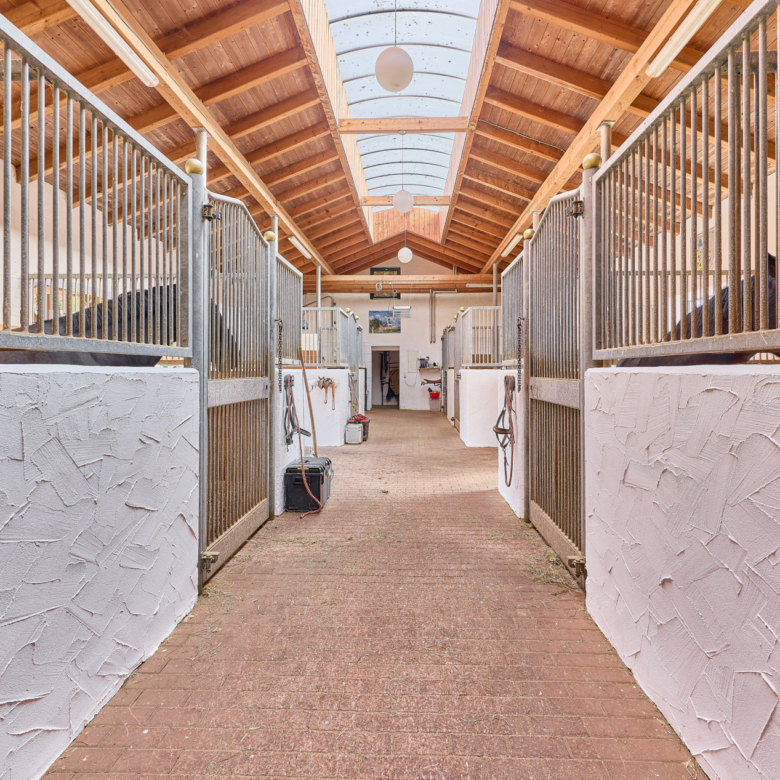 Pferdehof in Niederbayern inklusive Reithalle, schickem Landhaus und beheiztem Pool!