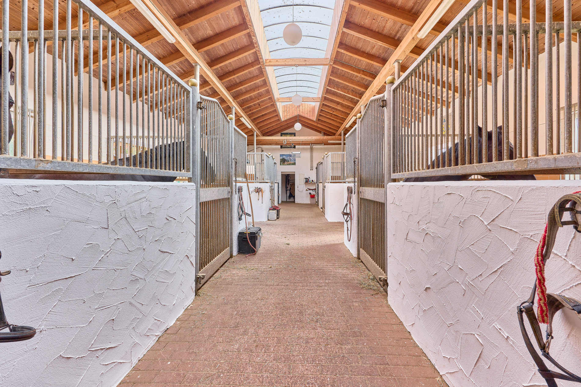 Pferdehof in Niederbayern inklusive Reithalle, schickem Landhaus und beheiztem Pool!