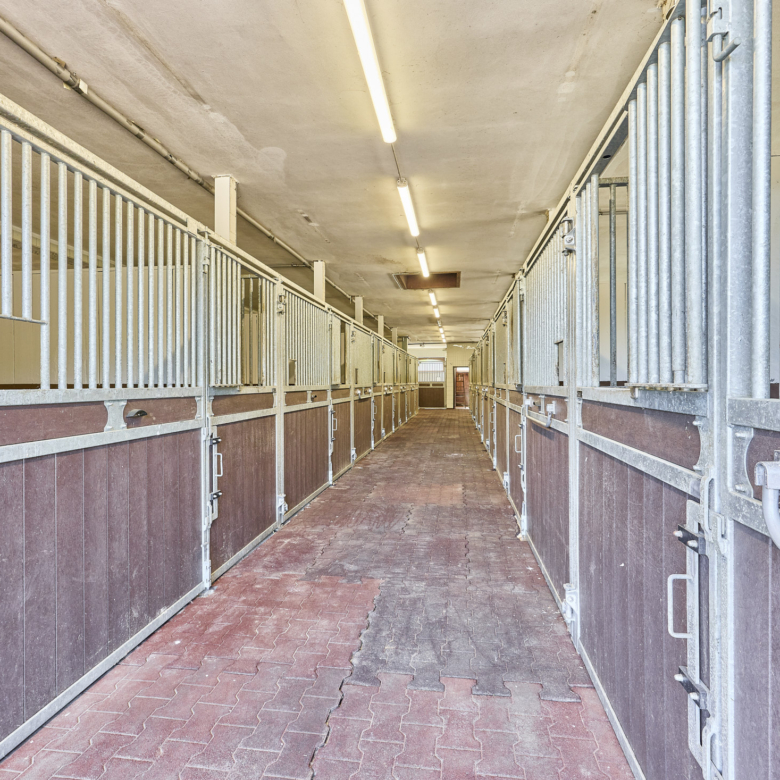 Reitanlage in NRW Nähe Münster zu verkaufen – Modernes Landhaus, Reithalle, Springplatz und Boxen für 33 Pferde!