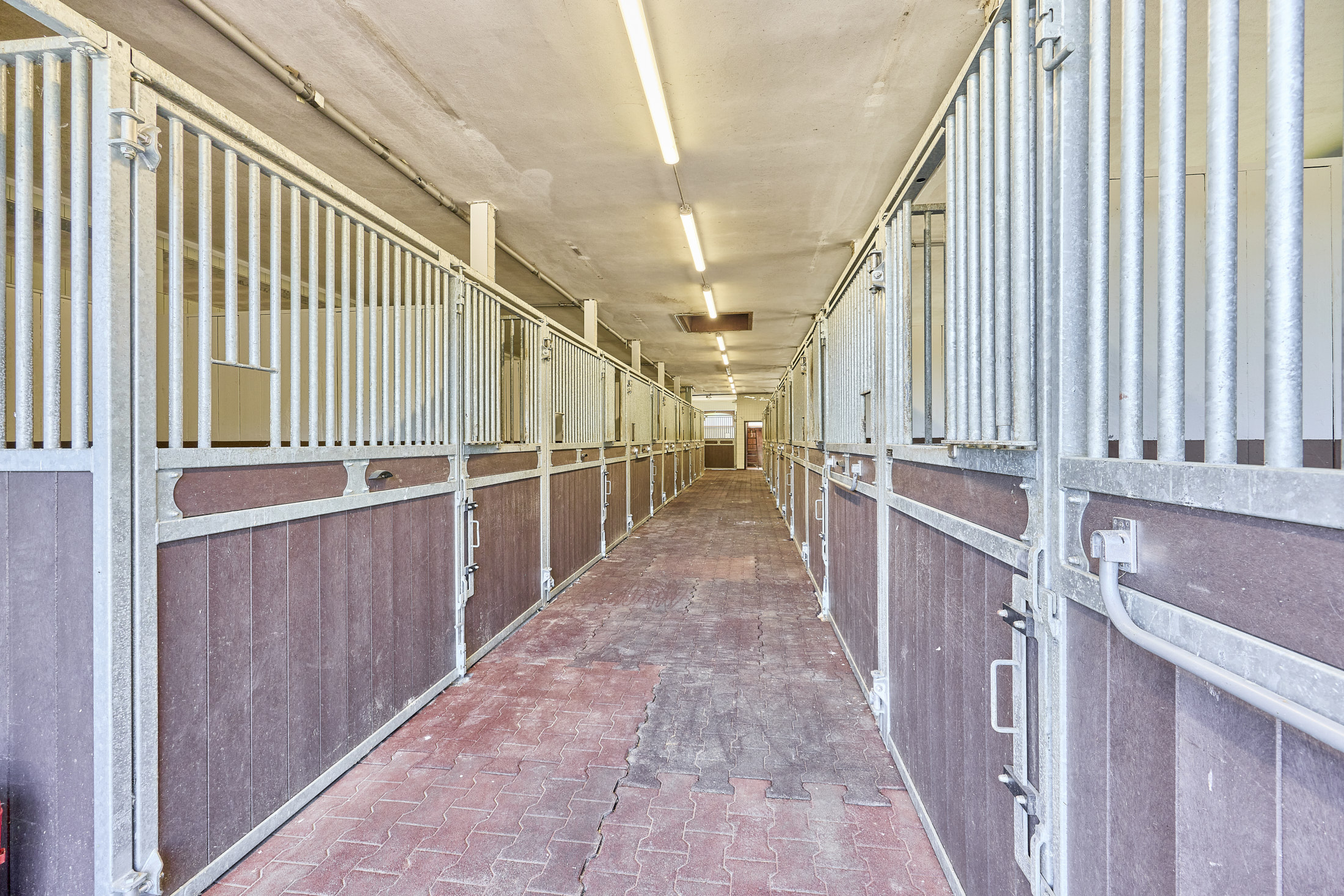 Reitanlage in NRW Nähe Münster zu verkaufen – Modernes Landhaus, Reithalle, Springplatz und Boxen für 33 Pferde!