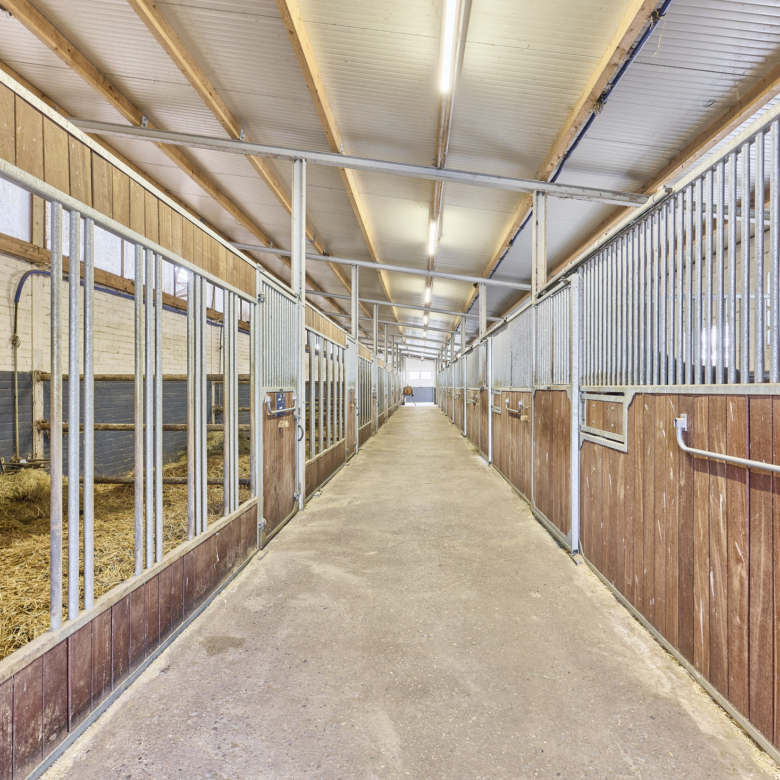 Reitanlage in Niedersachsen zu verkaufen auf ca. 3 Hektar Grundstücksfläche – bereits umfangreich saniert!