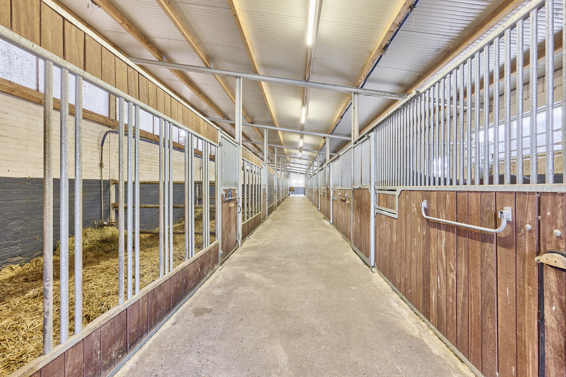 Reitanlage in Niedersachsen zu verkaufen auf ca. 3 Hektar Grundstücksfläche – bereits umfangreich saniert!