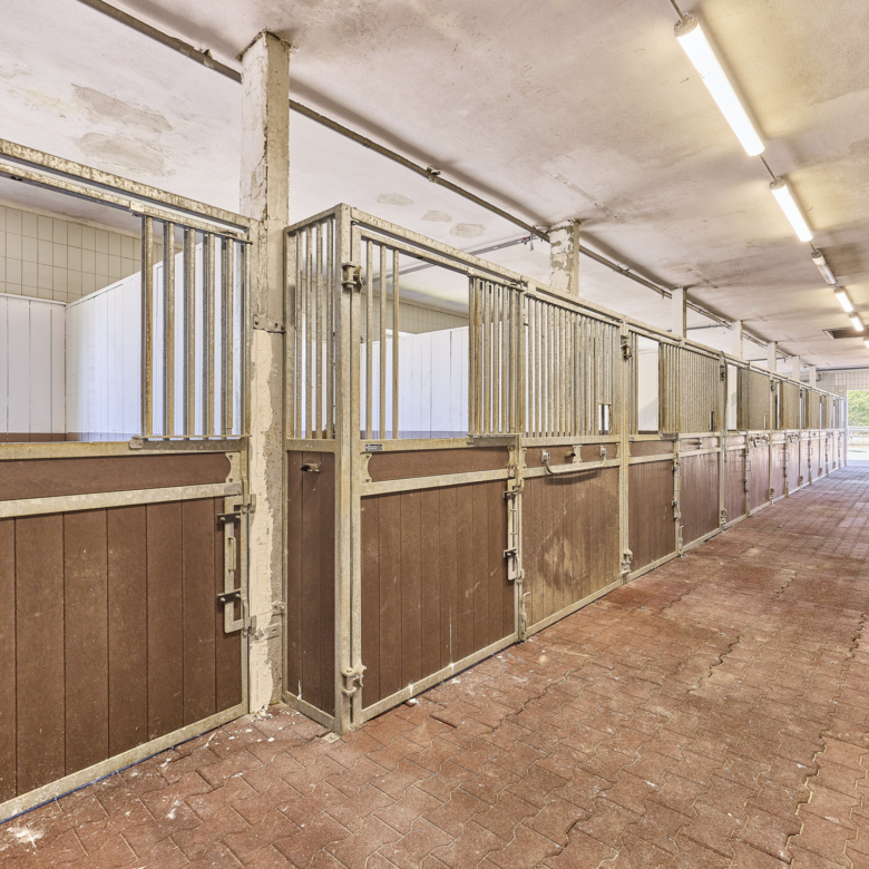 Reitanlage in NRW Nähe Münster zu verkaufen – Modernes Landhaus, Reithalle, Springplatz und Boxen für 33 Pferde!