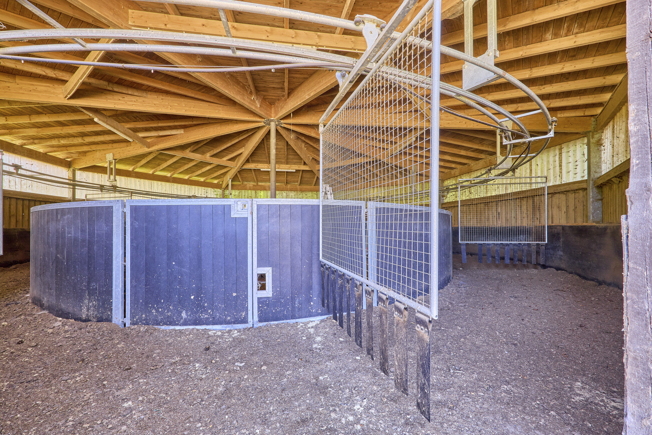 Reitanlage in NRW Nähe Münster zu verkaufen – Modernes Landhaus, Reithalle, Springplatz und Boxen für 33 Pferde!