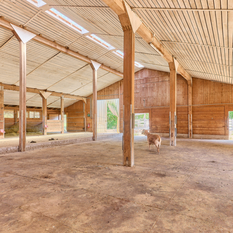 Reitanlage zu verkaufen in Hütschenhausen in Rheinland-Pfalz – stilvolles & energieeffizientes Wohnen inklusive!