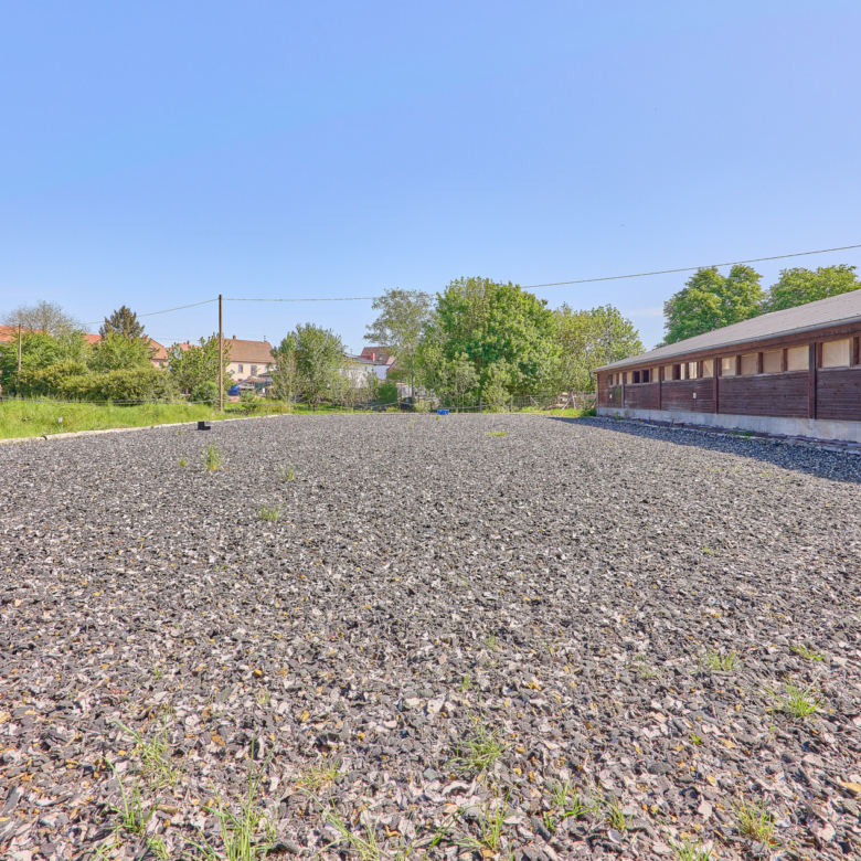 Reitanlage zu verkaufen in Hütschenhausen in Rheinland-Pfalz – stilvolles & energieeffizientes Wohnen inklusive!