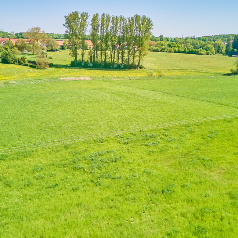 Reitanlage zu verkaufen in Hütschenhausen in Rheinland-Pfalz – stilvolles & energieeffizientes Wohnen inklusive!