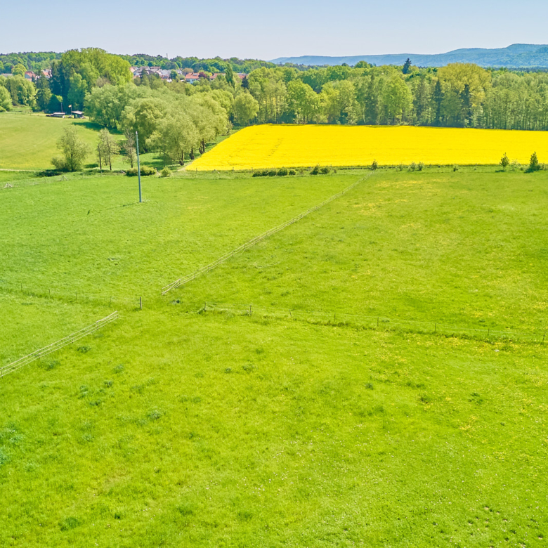 Reitanlage zu verkaufen in Hütschenhausen in Rheinland-Pfalz – stilvolles & energieeffizientes Wohnen inklusive!