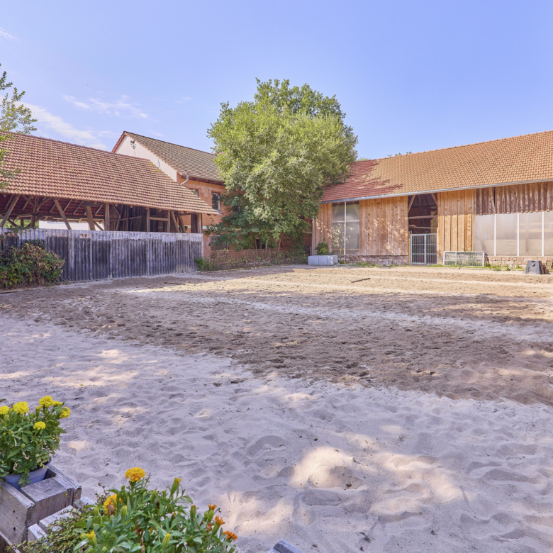 Pferdehof kaufen in Enkenbach-Alsenborn – mit neuwertigem Wohnhaus in idyllischer Lage & Platz zur privaten Pferdehaltung!