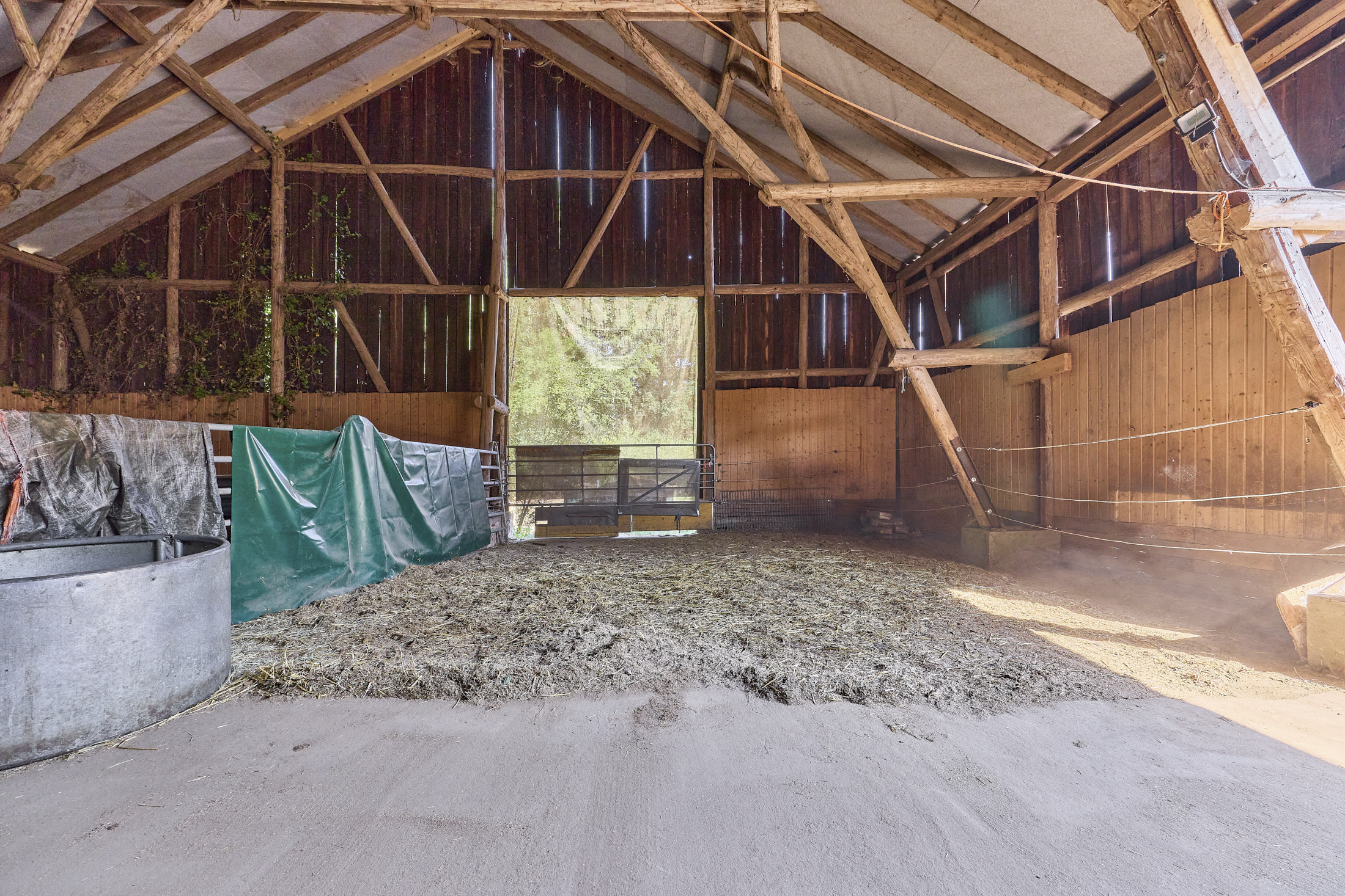 Pferdehof kaufen in Enkenbach-Alsenborn – mit neuwertigem Wohnhaus in idyllischer Lage & Platz zur privaten Pferdehaltung!