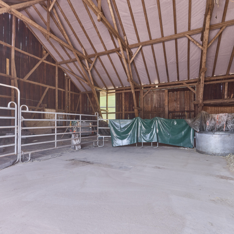 Pferdehof kaufen in Enkenbach-Alsenborn – mit neuwertigem Wohnhaus in idyllischer Lage & Platz zur privaten Pferdehaltung!