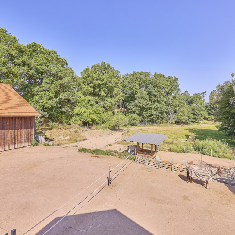 Pferdehof kaufen in Enkenbach-Alsenborn – mit neuwertigem Wohnhaus in idyllischer Lage & Platz zur privaten Pferdehaltung!