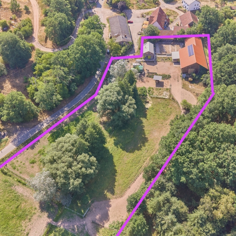 Pferdehof kaufen in Enkenbach-Alsenborn – mit neuwertigem Wohnhaus in idyllischer Lage & Platz zur privaten Pferdehaltung!