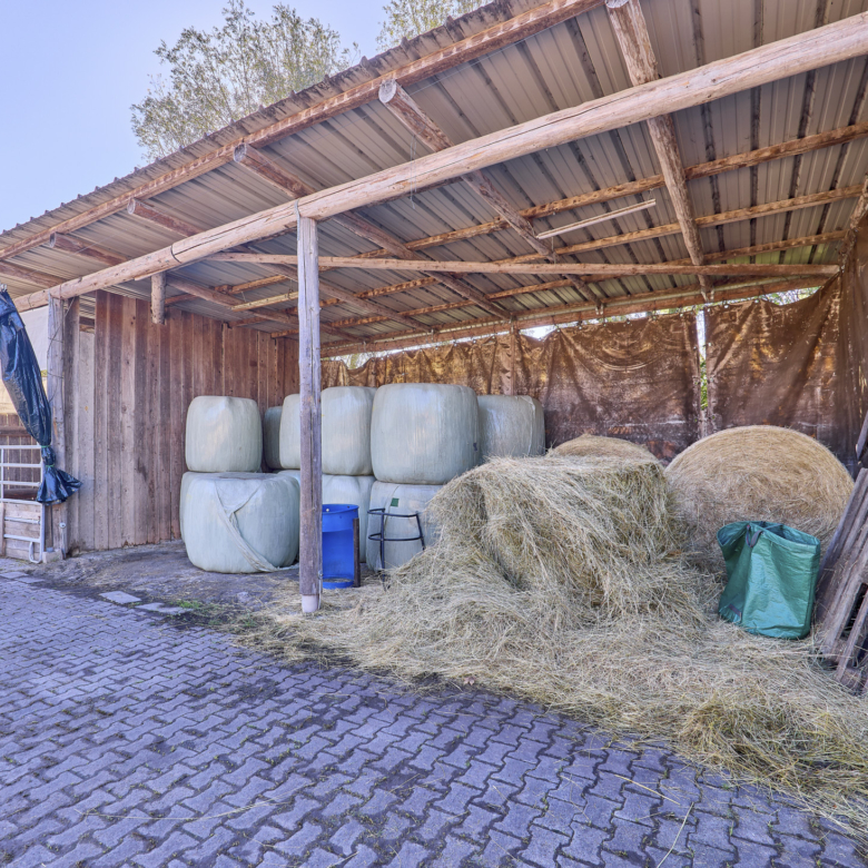 Pferdehof im Landkreis Mainz-Bingen zu verkaufen – in attraktiver Lage von Lörzweiler!