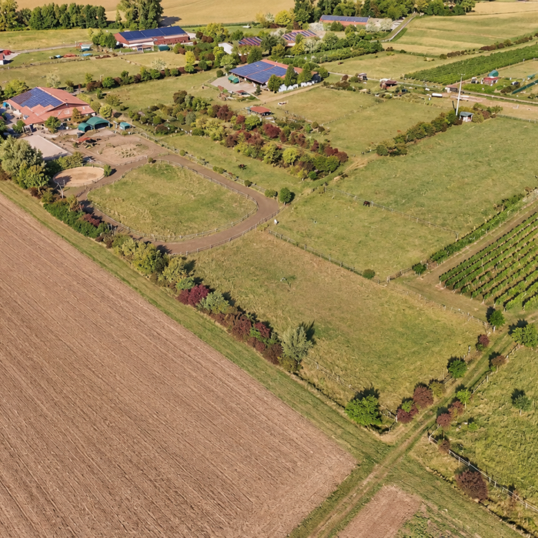 Pferdehof im Landkreis Mainz-Bingen zu verkaufen – in attraktiver Lage von Lörzweiler!