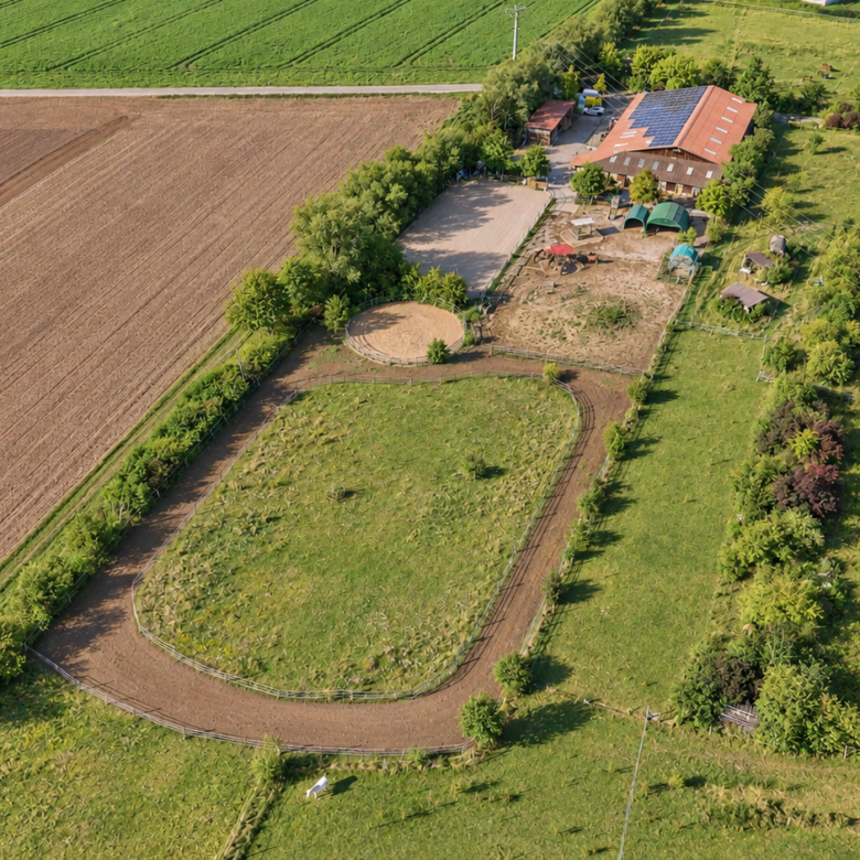 Pferdehof im Landkreis Mainz-Bingen zu verkaufen – in attraktiver Lage von Lörzweiler!